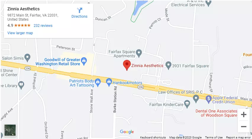 zinnia aesthetics map